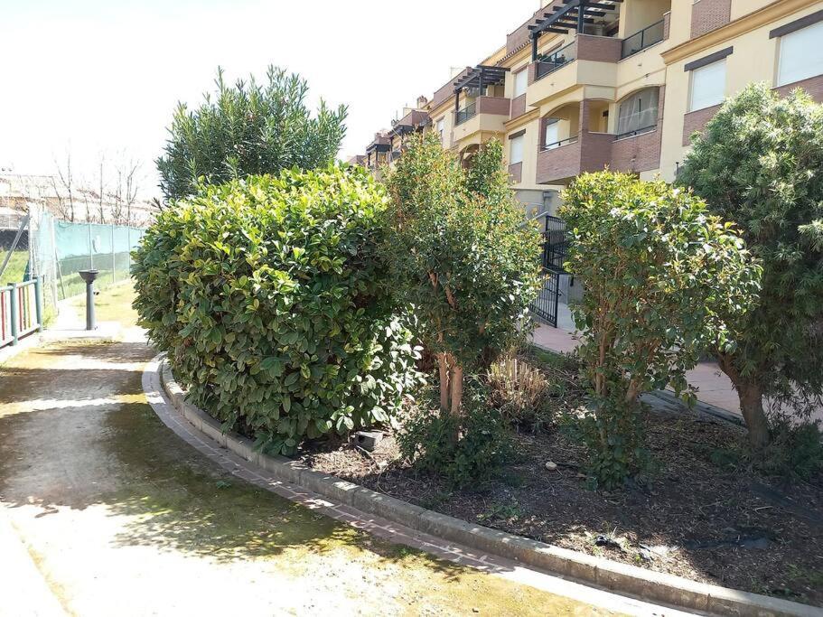 El Nido Del Nomada Apartment Atarfe ภายนอก รูปภาพ